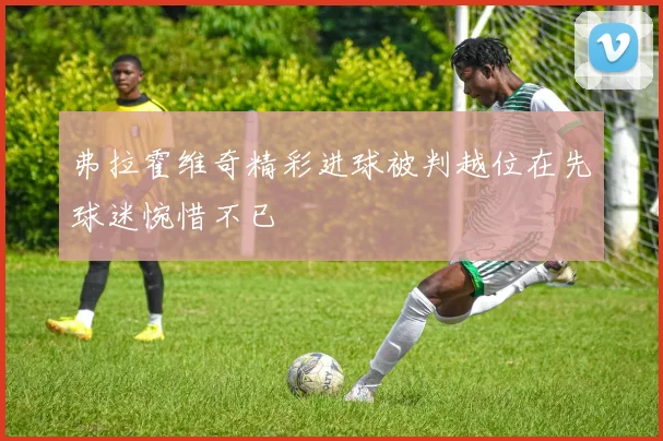 弗拉霍维奇精彩进球被判越位在先球迷惋惜不已